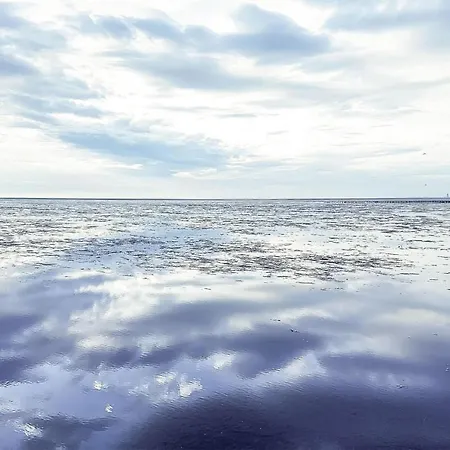 Beautiful In Ot Frie *